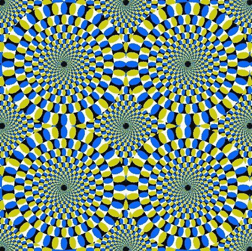 10010.jpg