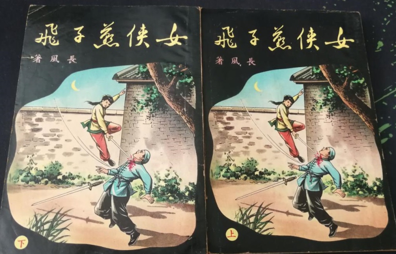 _《女侠燕子飞》长风 封面 .jpg