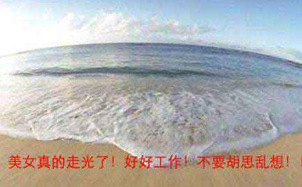 d50034e1a76e4e1db547207c7a34d850_th.jpg