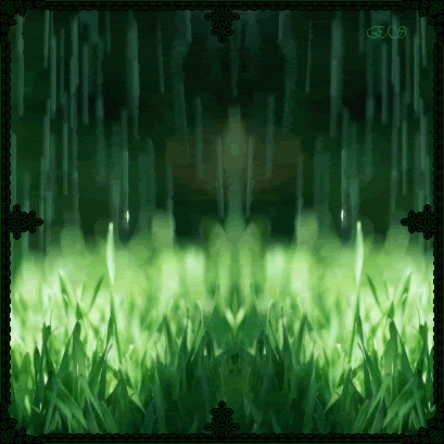 13.gif