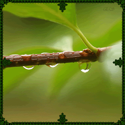 3.gif