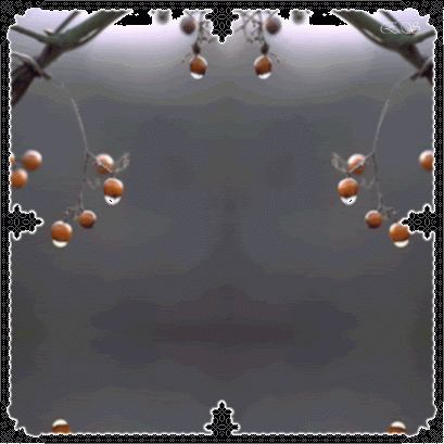 9.gif