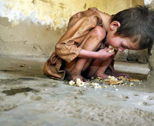 屏幕截图 2024-12-07 163459.png