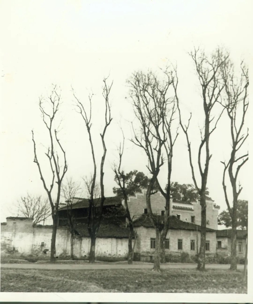 ‌1939年4~5月‌江西泰和县上田村——疑似古龙襁褓期住过街道 .jpg