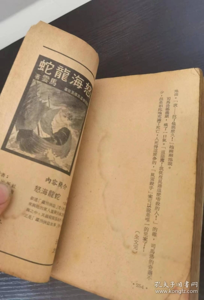 fenglei shashou page sima luo.jpg