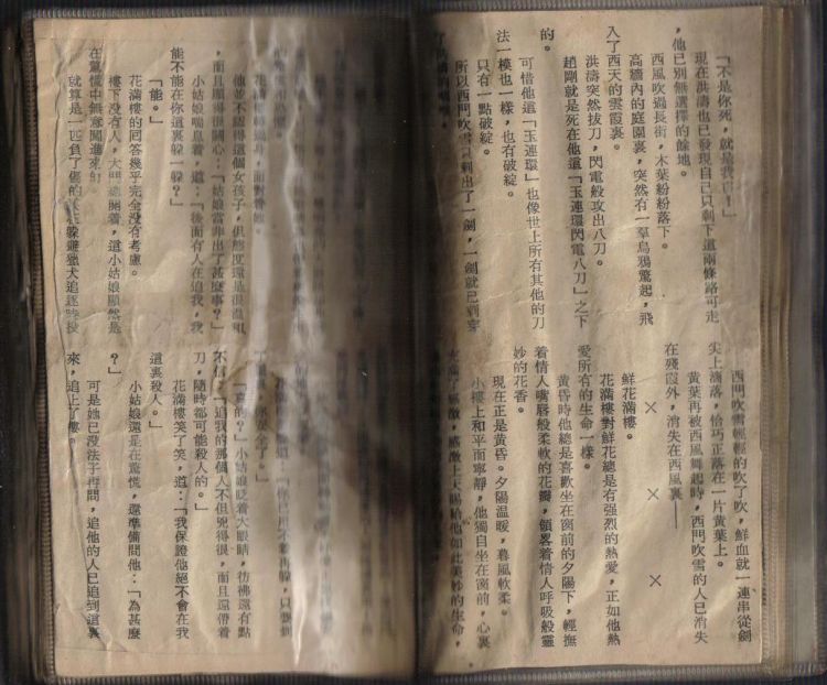 更早的武功本6.jpg