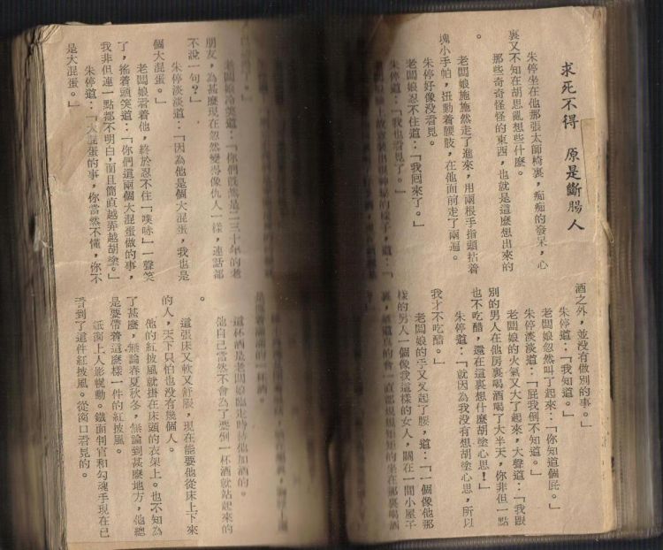 更早的武功本11.jpg