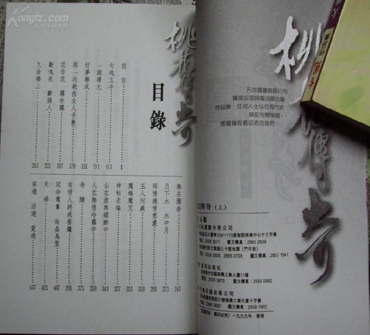 桃花传奇－两册全－天地图书..jpg
