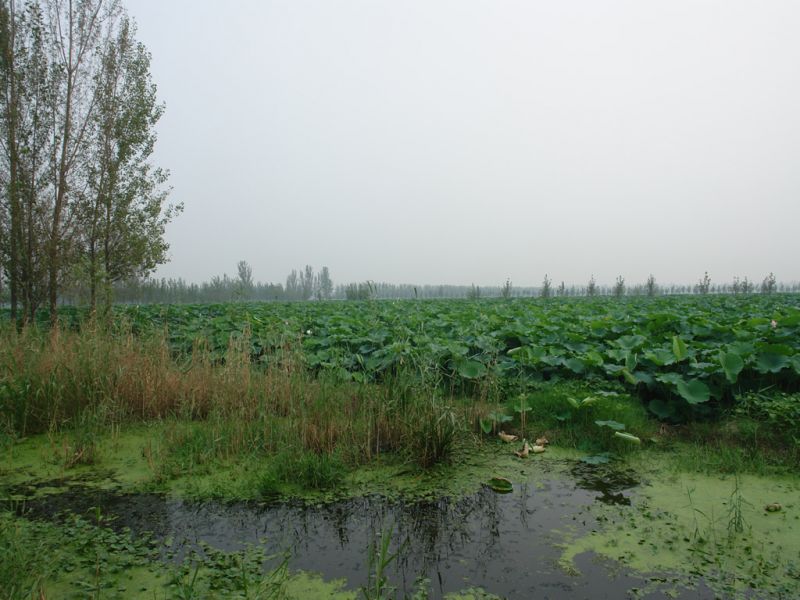 02.jpg