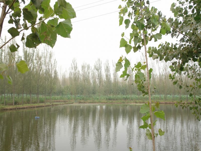 04.jpg