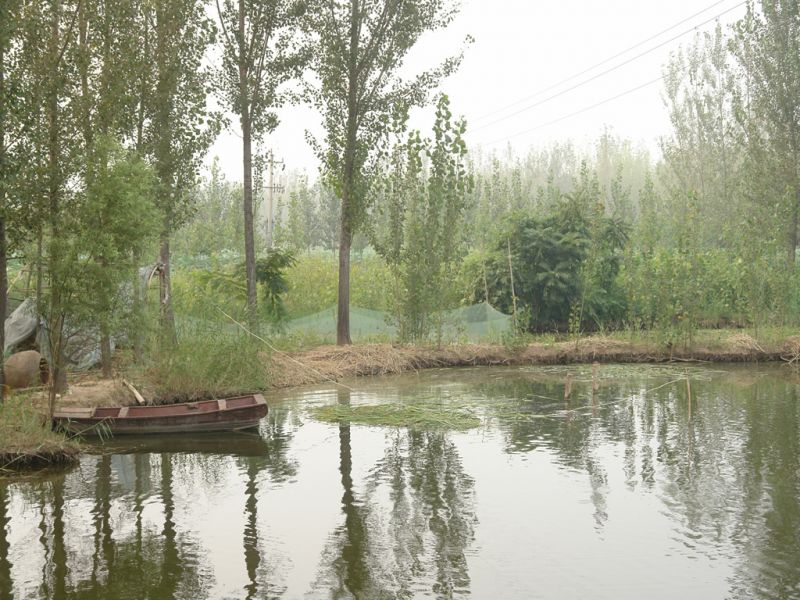 05.jpg