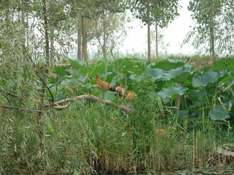 09.jpg
