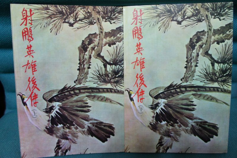 2射鵰英雄後傳.JPG