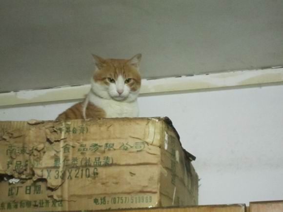 调整大小 IMG_3666.JPG