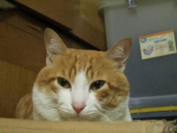 调整大小 IMG_3672.JPG