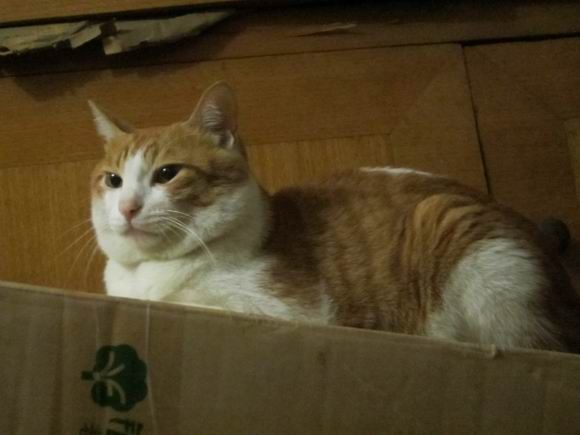 调整大小 IMG_3668.JPG