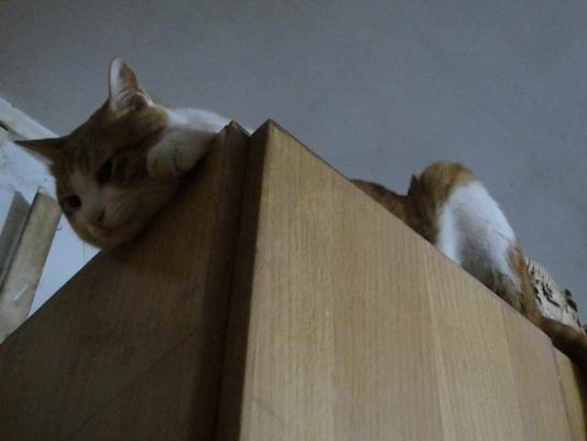 调整大小 IMG_3313.JPG