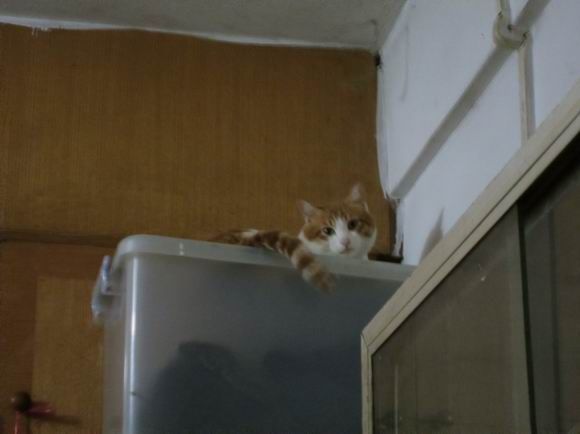 调整大小 IMG_3280.JPG