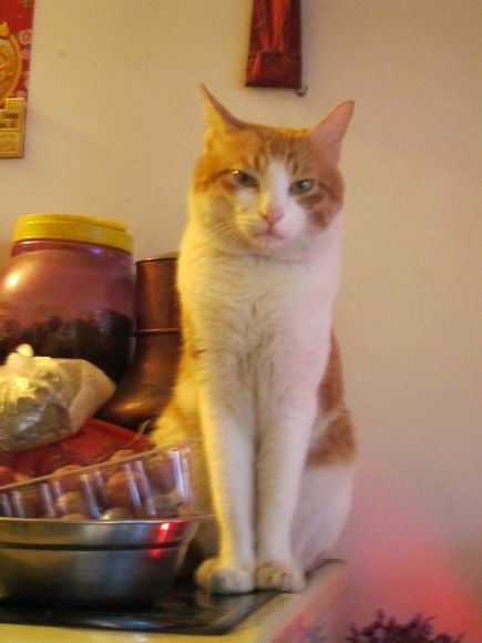 调整大小 旋转 IMG_3034.jpg