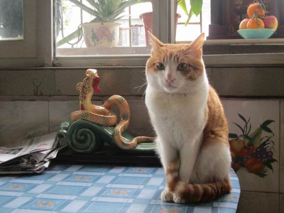 调整大小 IMG_5341.JPG