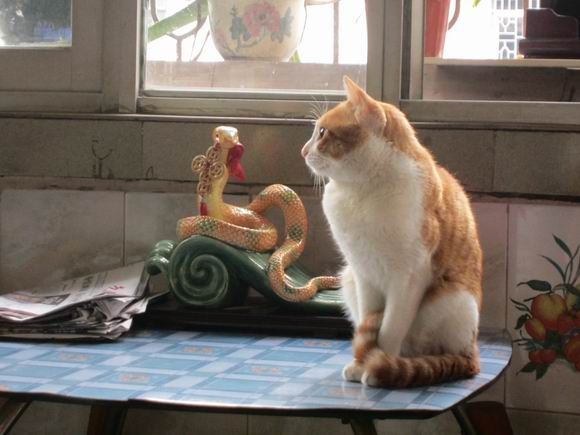 调整大小 IMG_5339.JPG