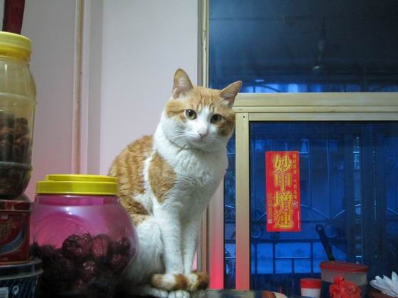 调整大小 IMG_0741.jpg