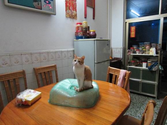 调整大小 IMG_0883.jpg