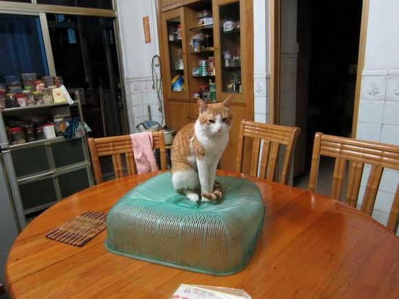 调整大小 IMG_0885.jpg