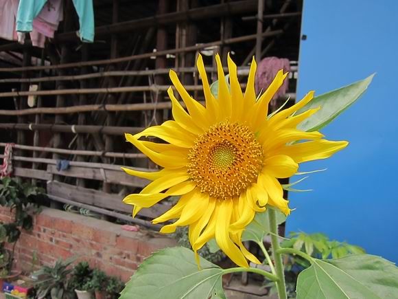 调整大小 IMG_5461.JPG