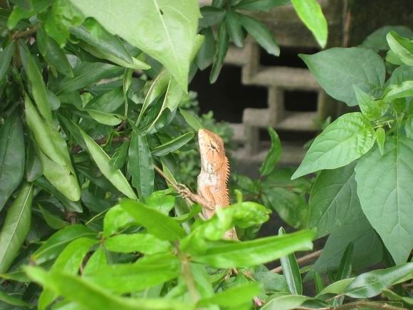 调整大小 IMG_5459.JPG