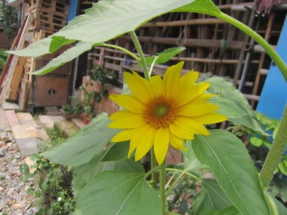 调整大小 IMG_5462.JPG