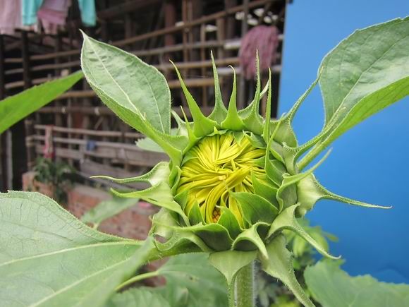 调整大小 IMG_5463.JPG