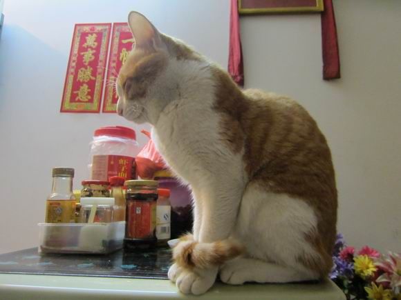 调整大小 IMG_4546.JPG