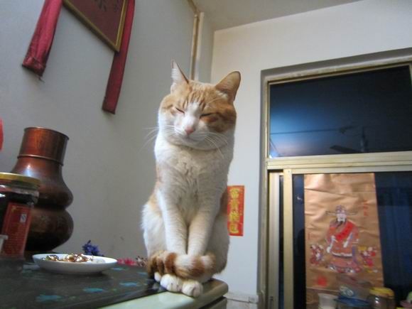 调整大小 IMG_4547.JPG