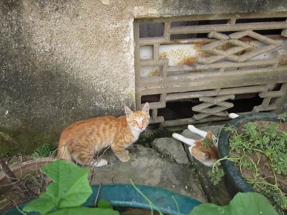 调整大小 IMG_5977.JPG