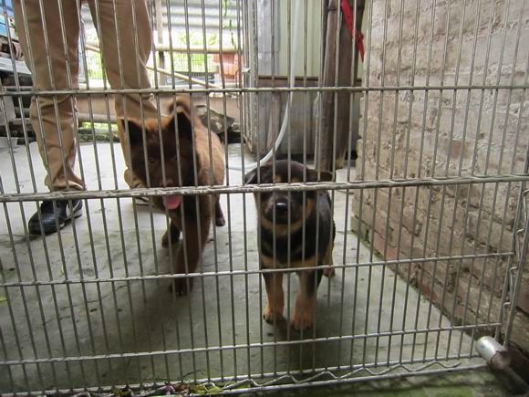 调整大小 IMG_5971.JPG