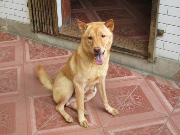 调整大小 IMG_5970.JPG