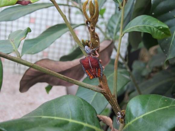 调整大小 IMG_5733.JPG