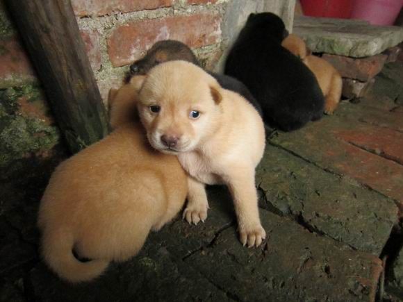 调整大小 IMG_6009.JPG