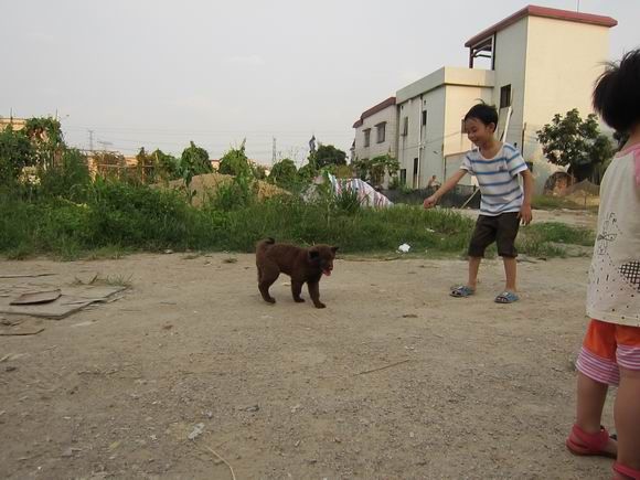 调整大小 IMG_5976.JPG