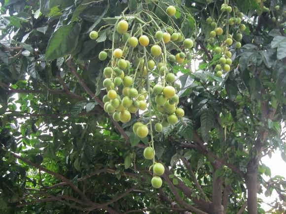 调整大小 IMG_5665.JPG