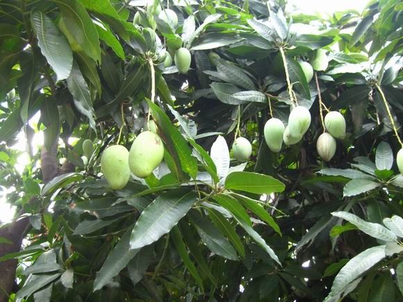 调整大小 IMG_5661.JPG