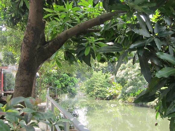 调整大小 IMG_5670.JPG