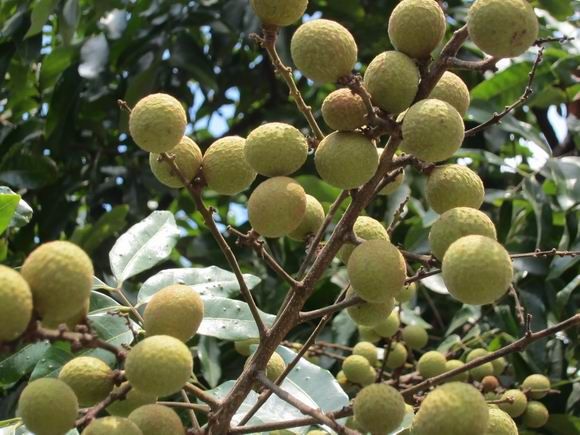 调整大小 IMG_5678.JPG