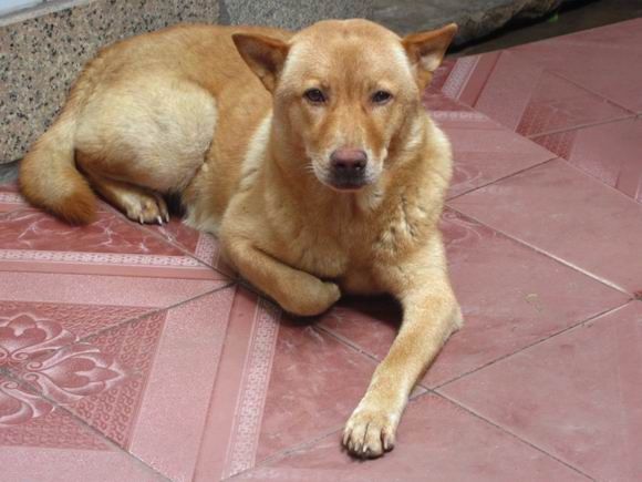 调整大小 IMG_5688.JPG