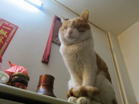 调整大小 IMG_4543.JPG