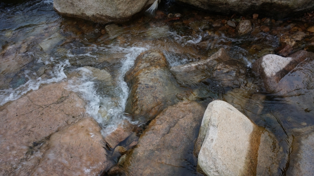 DSC01188.jpg