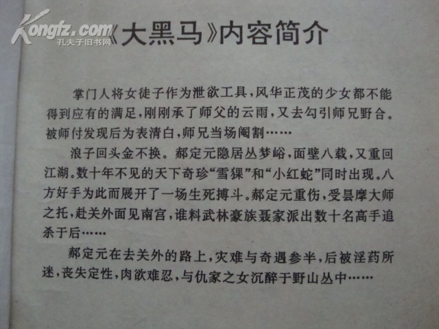 托名臥龍生：《大黑馬》，四川文藝版 內容簡介 (1).jpg