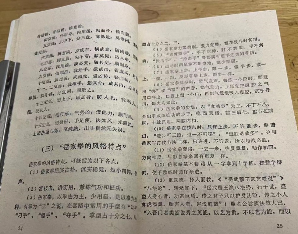 岳家拳.jpg