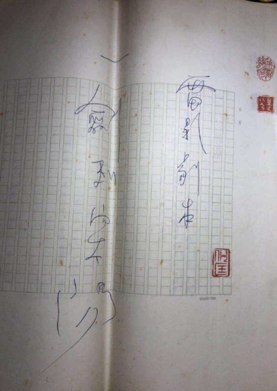 倪匡剧本《一劍刺向太陽》（电影未拍成）.jpg